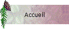 Accueil